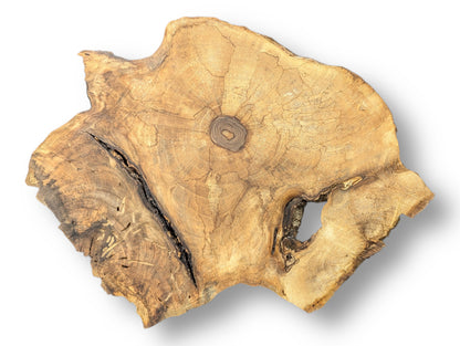 Irregular light brown English walnut root wood slice with central rings, a deep crack, and a void.