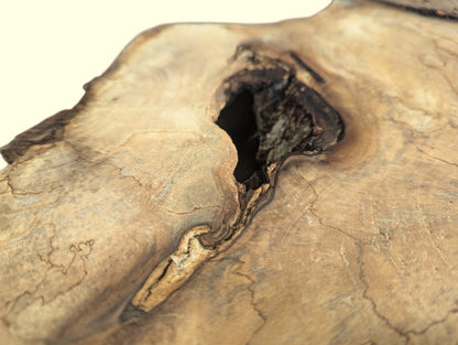 An irregular light brown walnut wood slice with a prominent dark void and textured surface details.
