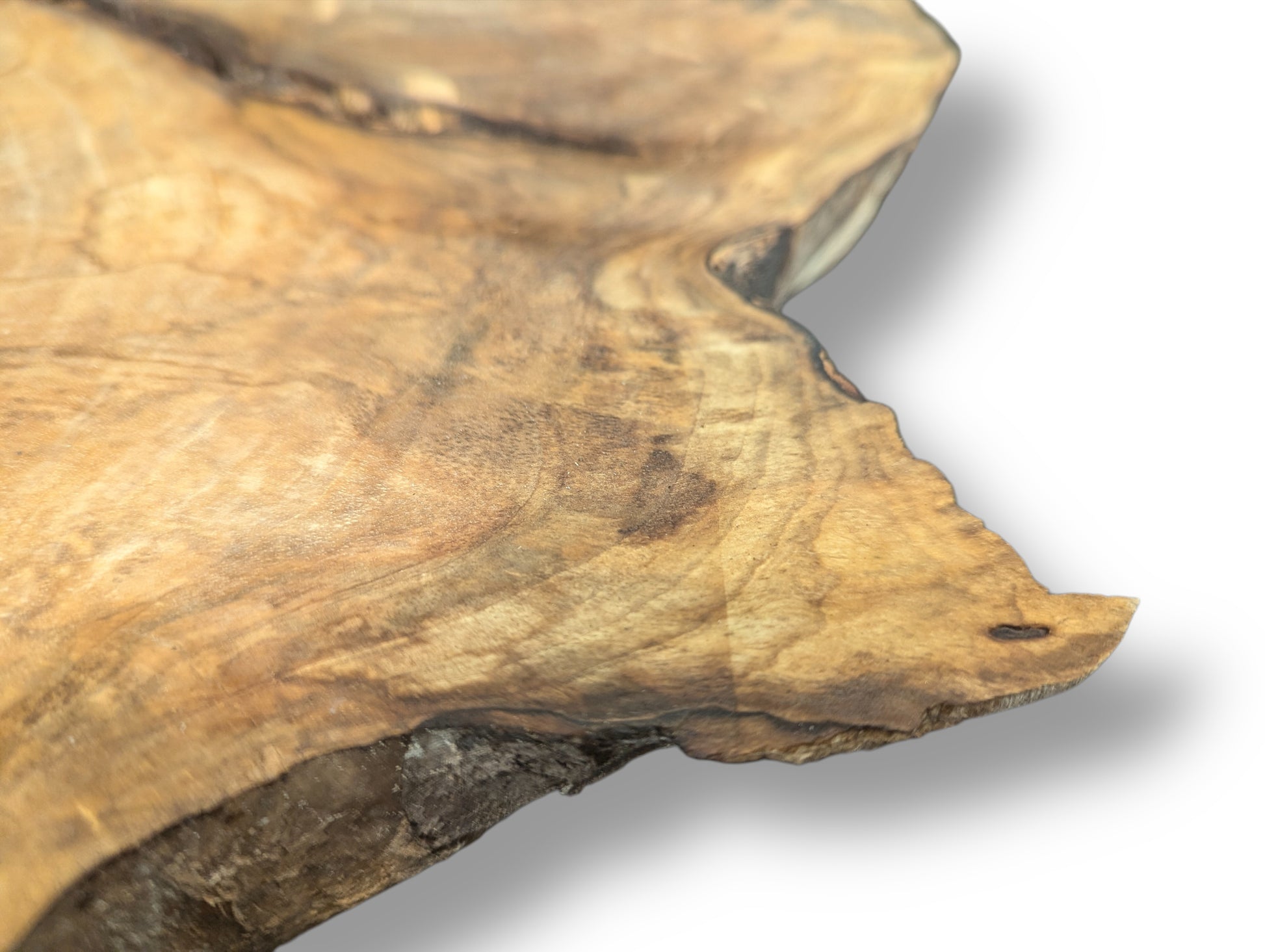 Detailed view of a light brown wood slice, featuring irregular edges and prominent grain patterns.