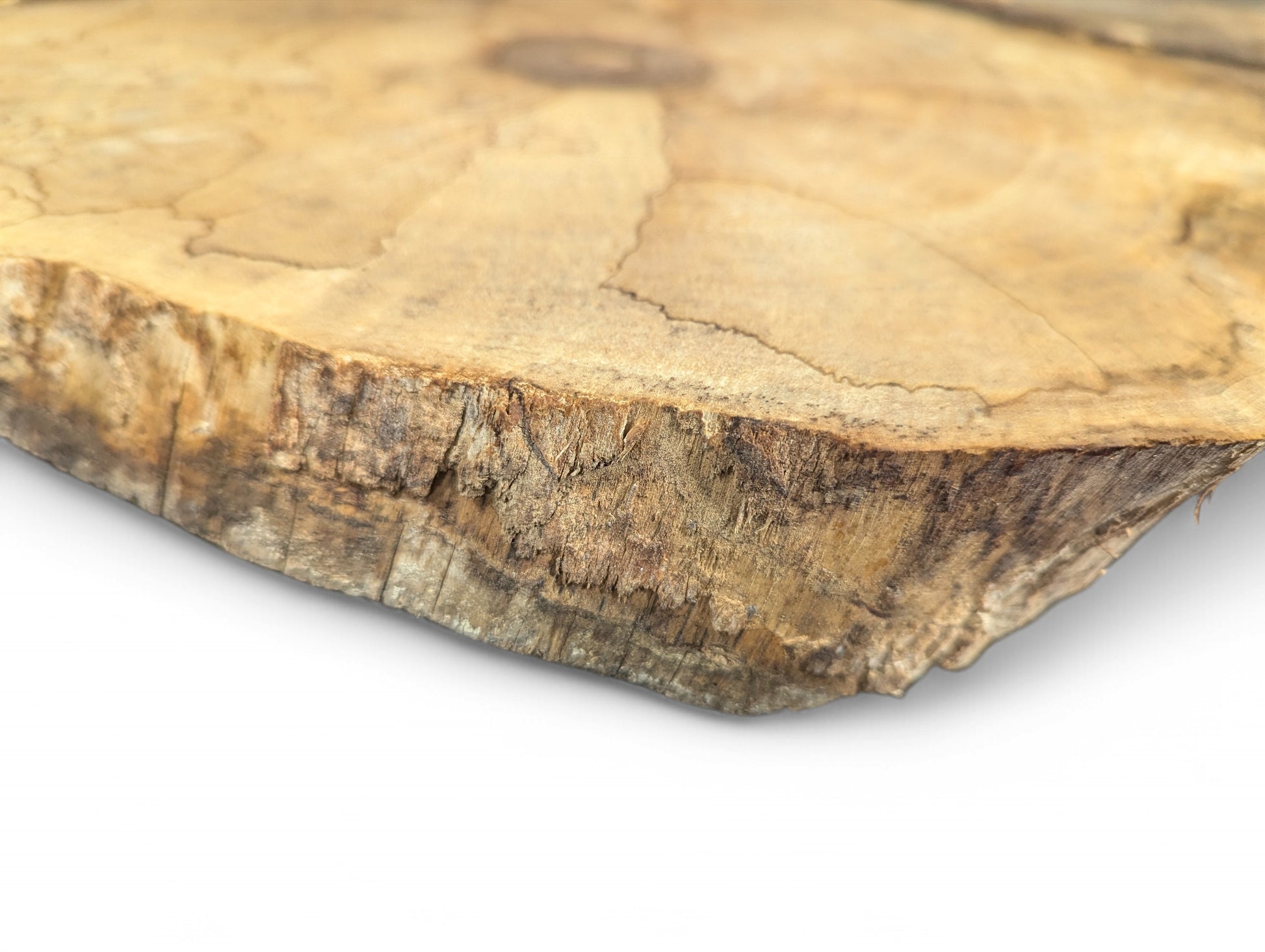 Close-up of an irregular light brown wood slice, displaying its textured live edge and fine surface cracks.