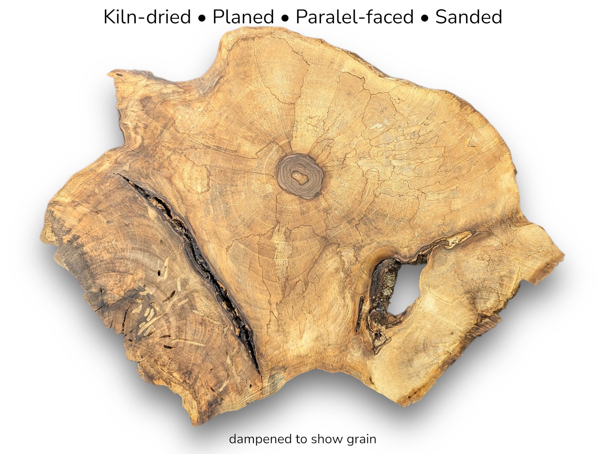 Golden-brown English walnut root slice displaying distinct grain, cracks, voids, and text detailing wood processing steps.