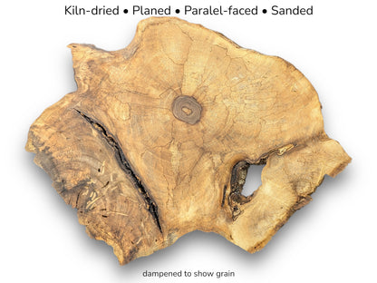 Golden-brown English walnut root slice displaying distinct grain, cracks, voids, and text detailing wood processing steps.