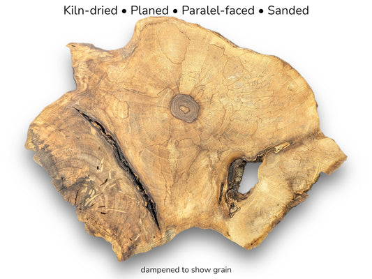 Golden-brown English walnut root slice displaying distinct grain, cracks, voids, and text detailing wood processing steps.