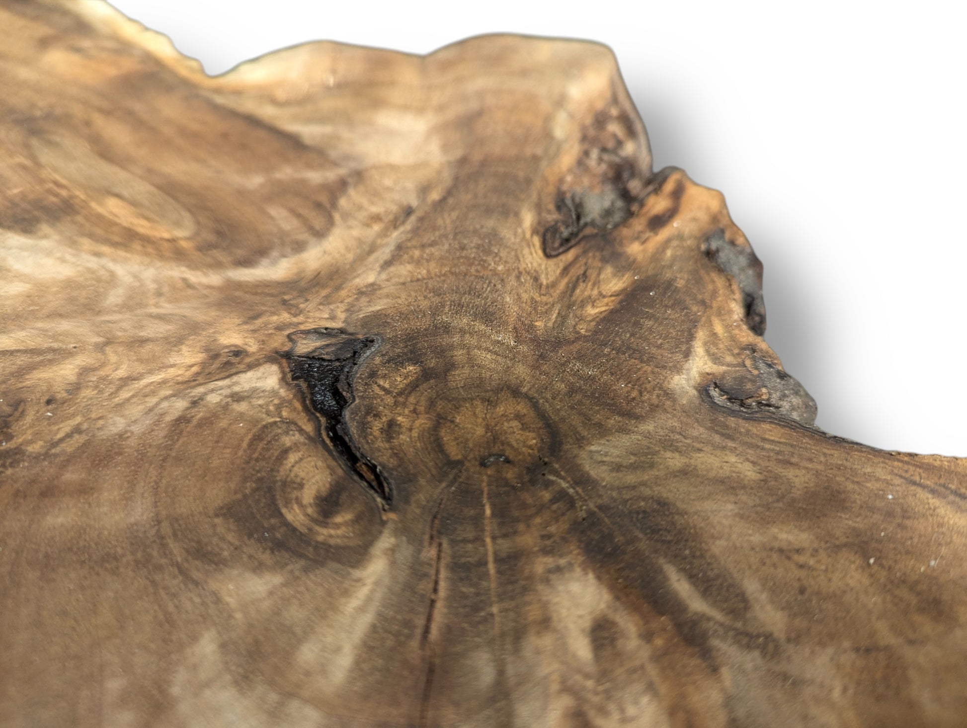Detailed view of an irregular English Walnut root wood slice, with swirling grain, knots, and a prominent dark fissure.