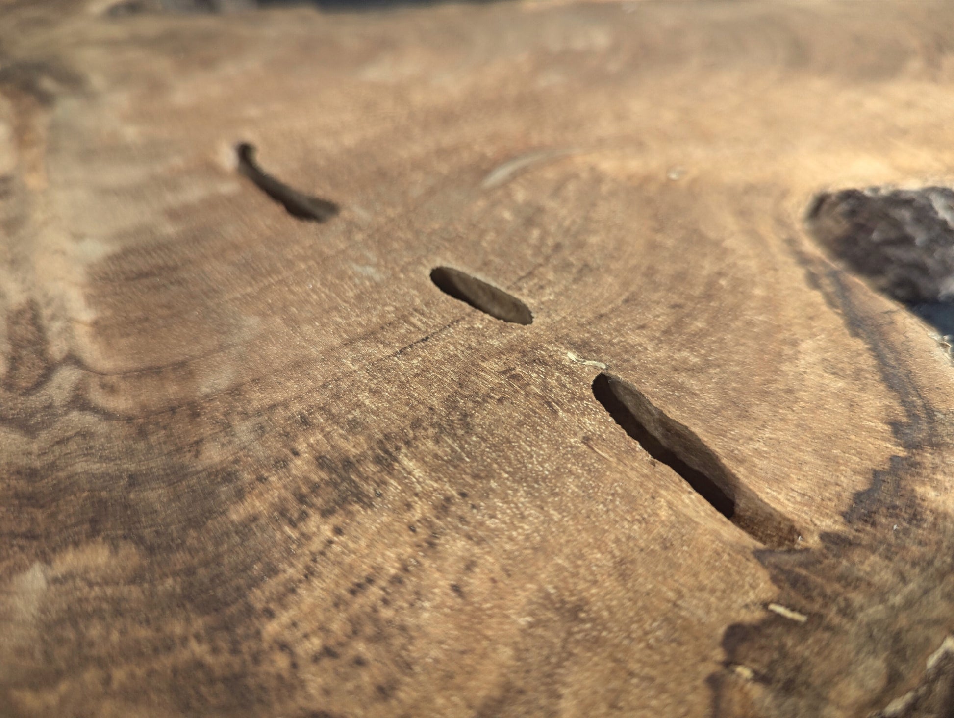 Surface of a light brown wood slice showing three dark, elongated fissures and swirling grain patterns.