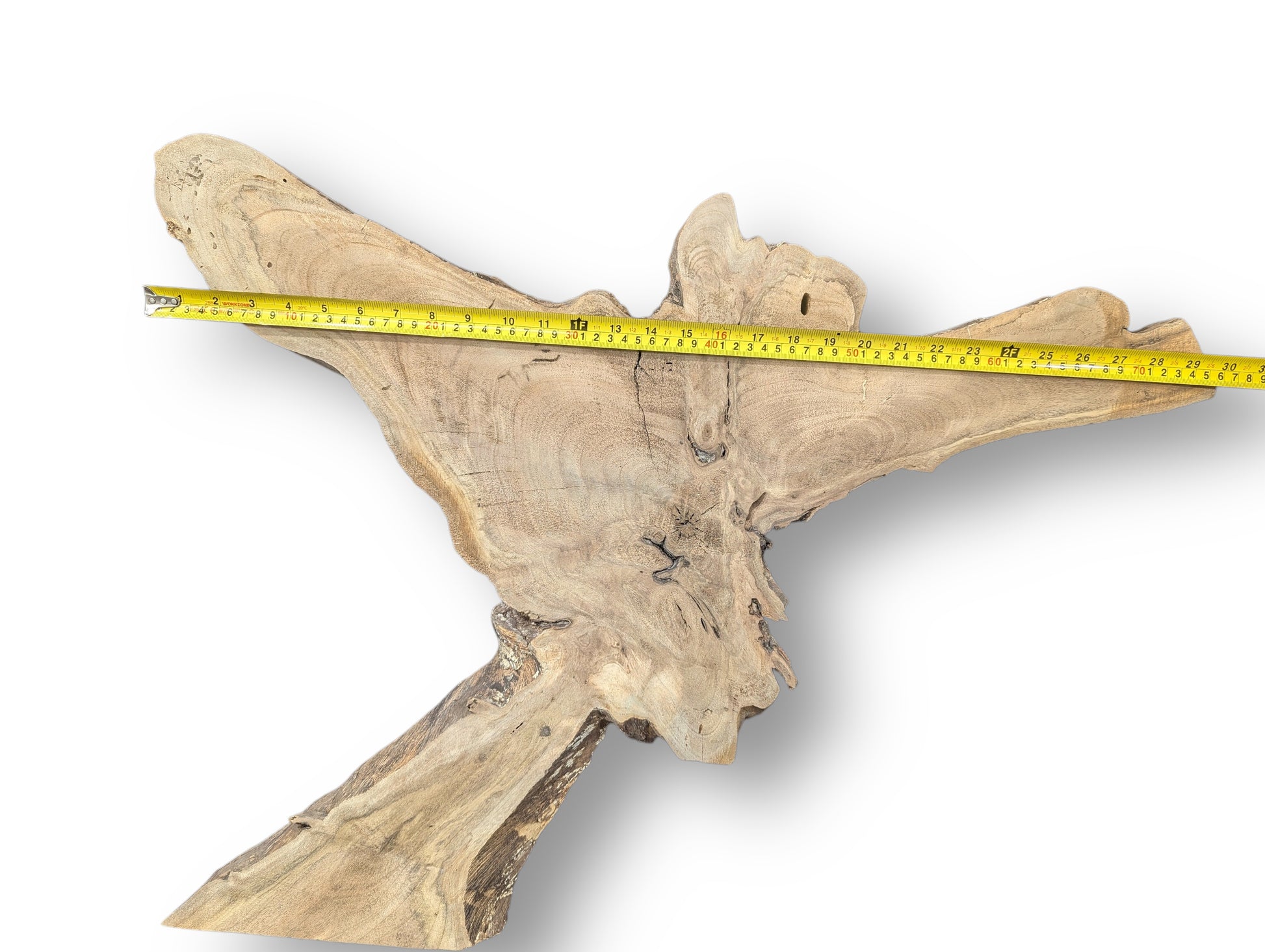 Irregular light brown wood slice with visible grain and natural live edges, measured by a yellow tape.