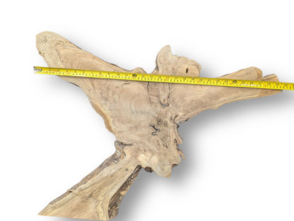 Irregular light brown wood slice with visible grain and natural live edges, measured by a yellow tape.