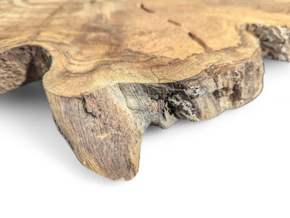 Close-up shows a light brown, irregularly shaped wood slice with visible grain and rough natural bark edges.