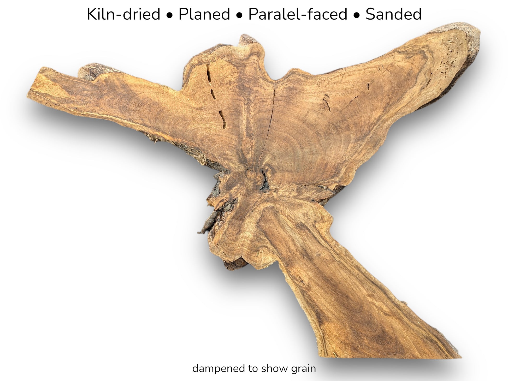 Irregularly shaped English walnut root slice displaying rich brown grain patterns with text detailing preparation.