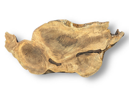 This irregular, light brown wood slice features prominent growth rings, swirling grain, and dark natural voids.