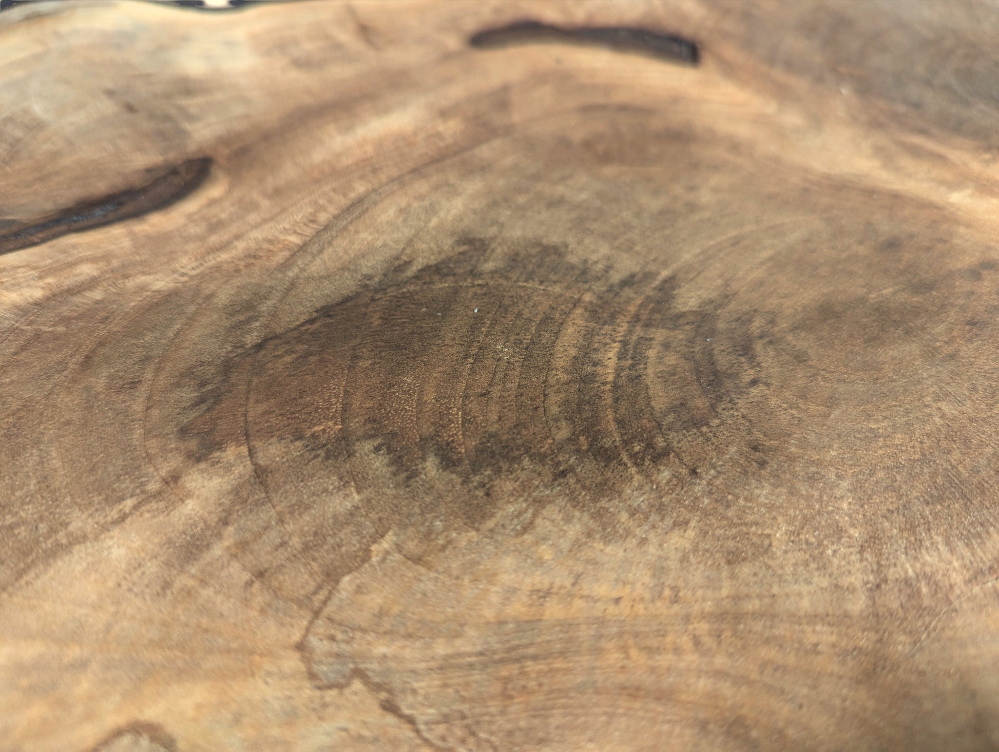 Detailed view of a sanded wood surface, featuring light and dark brown swirling grain and growth rings.