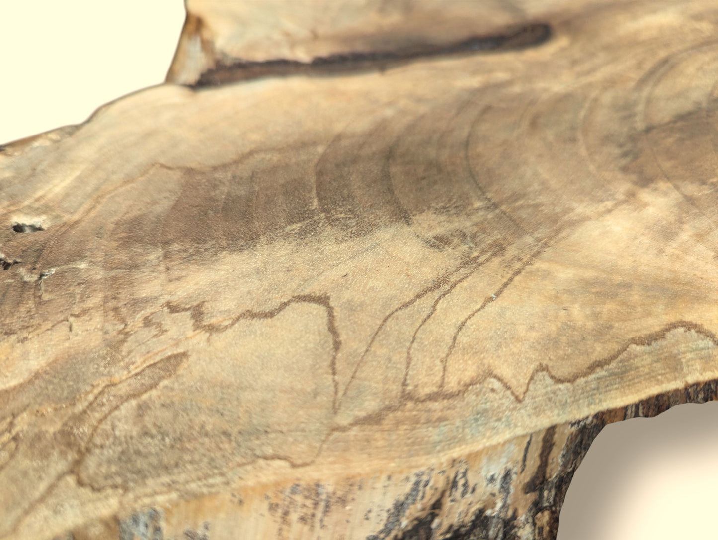 Light brown wood slice surface with swirling dark grain patterns, visible growth rings, and a rough live edge.