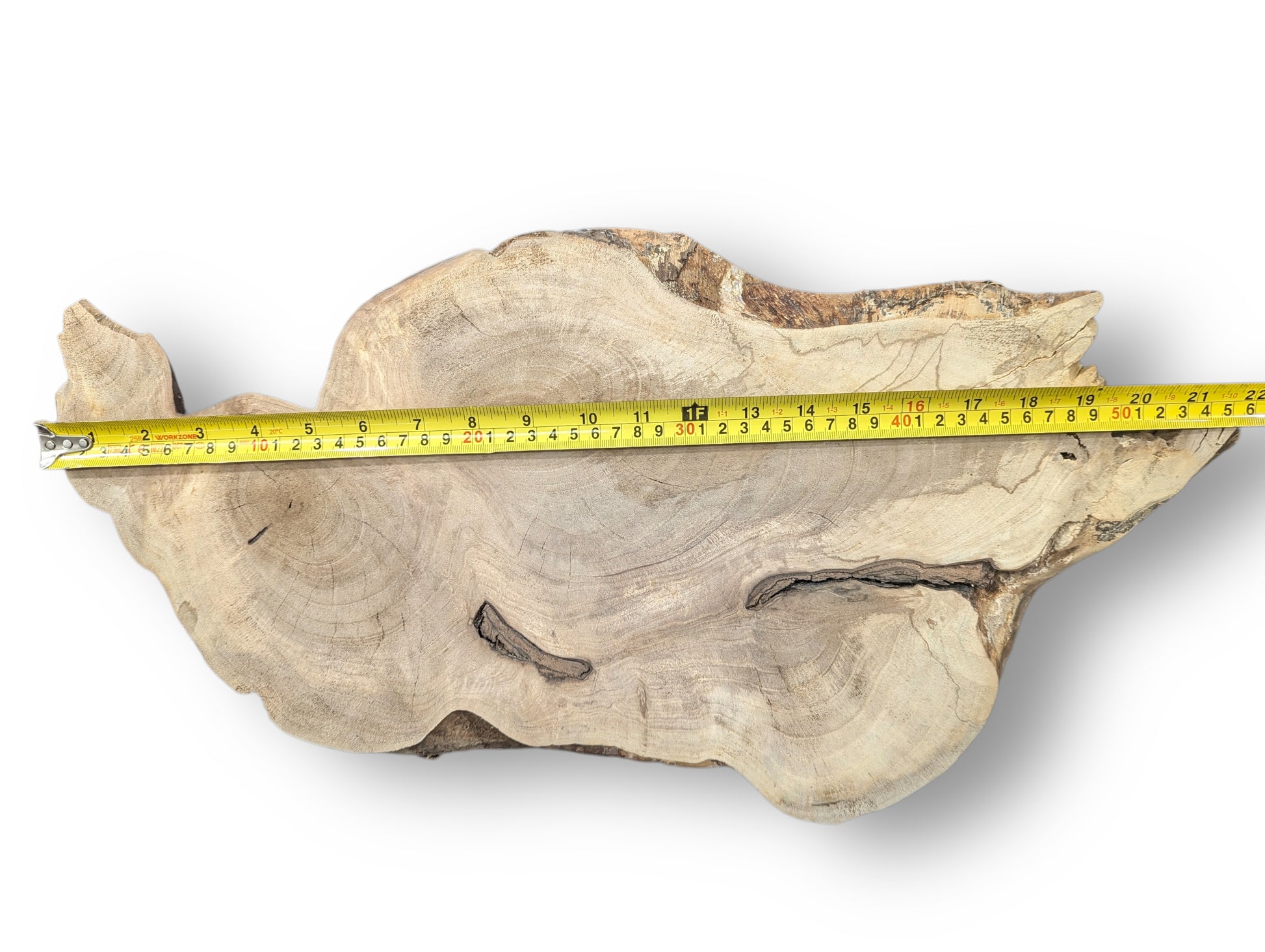A yellow tape measure extends across an irregular, light-toned wood slice, highlighting its grain and darker imperfections.