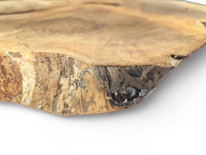 Angled view of an irregular light brown wood slice, revealing its dark, textured live edge with some shiny elements.