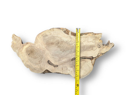 Irregular light brown wood slice with rough edges and distinct grain. A yellow tape measure spans its width.