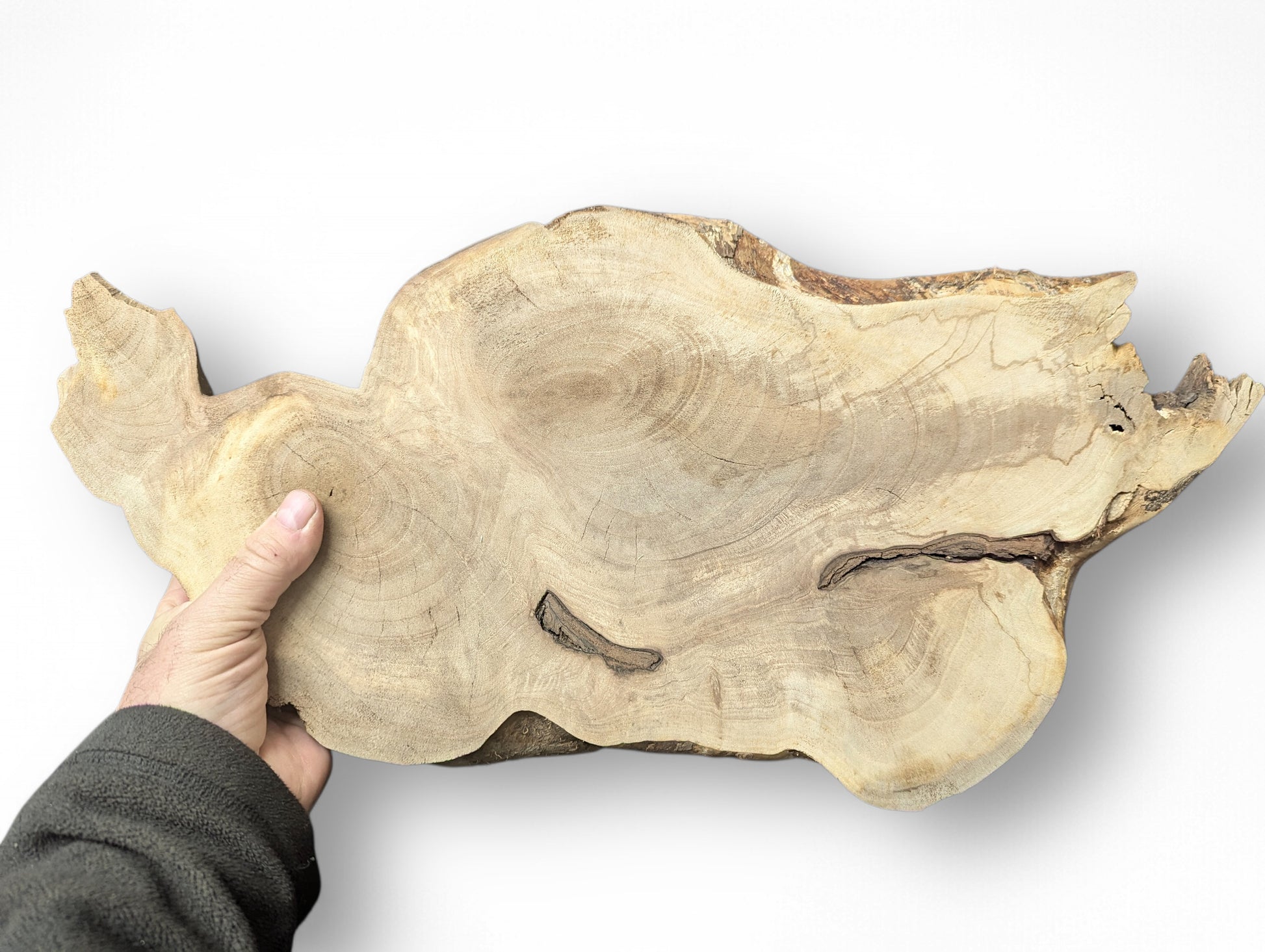 Hand holds an irregular, light brown, sanded live edge wood slice, showing distinct grain and cracks.