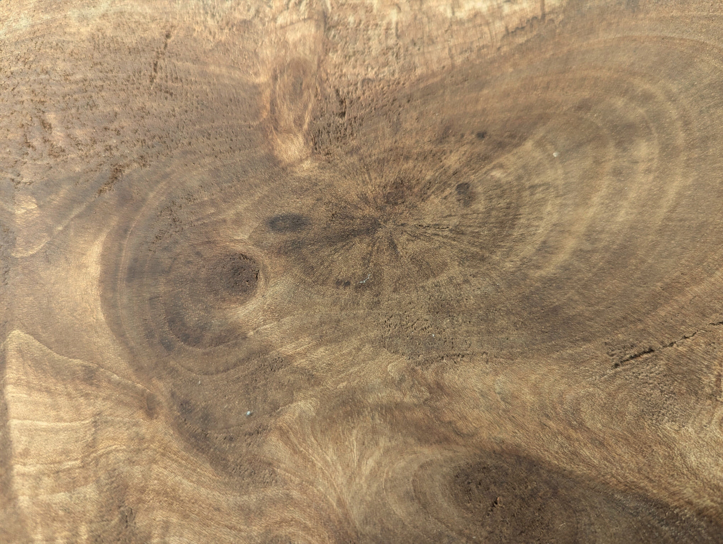 Textured surface of an English walnut wood slice featuring complex swirling grain in varied brown tones.