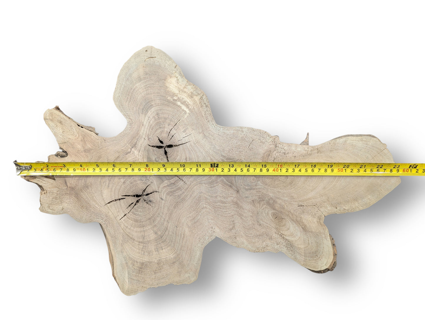 A pale brown irregular wood slice featuring concentric grain, dark cracks, and a yellow measuring tape across it.