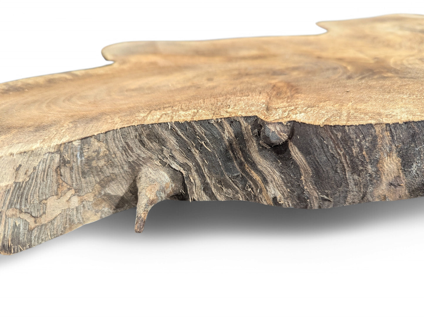 Light brown English walnut root wood top surface, dark textured live edge showing wavy grain.