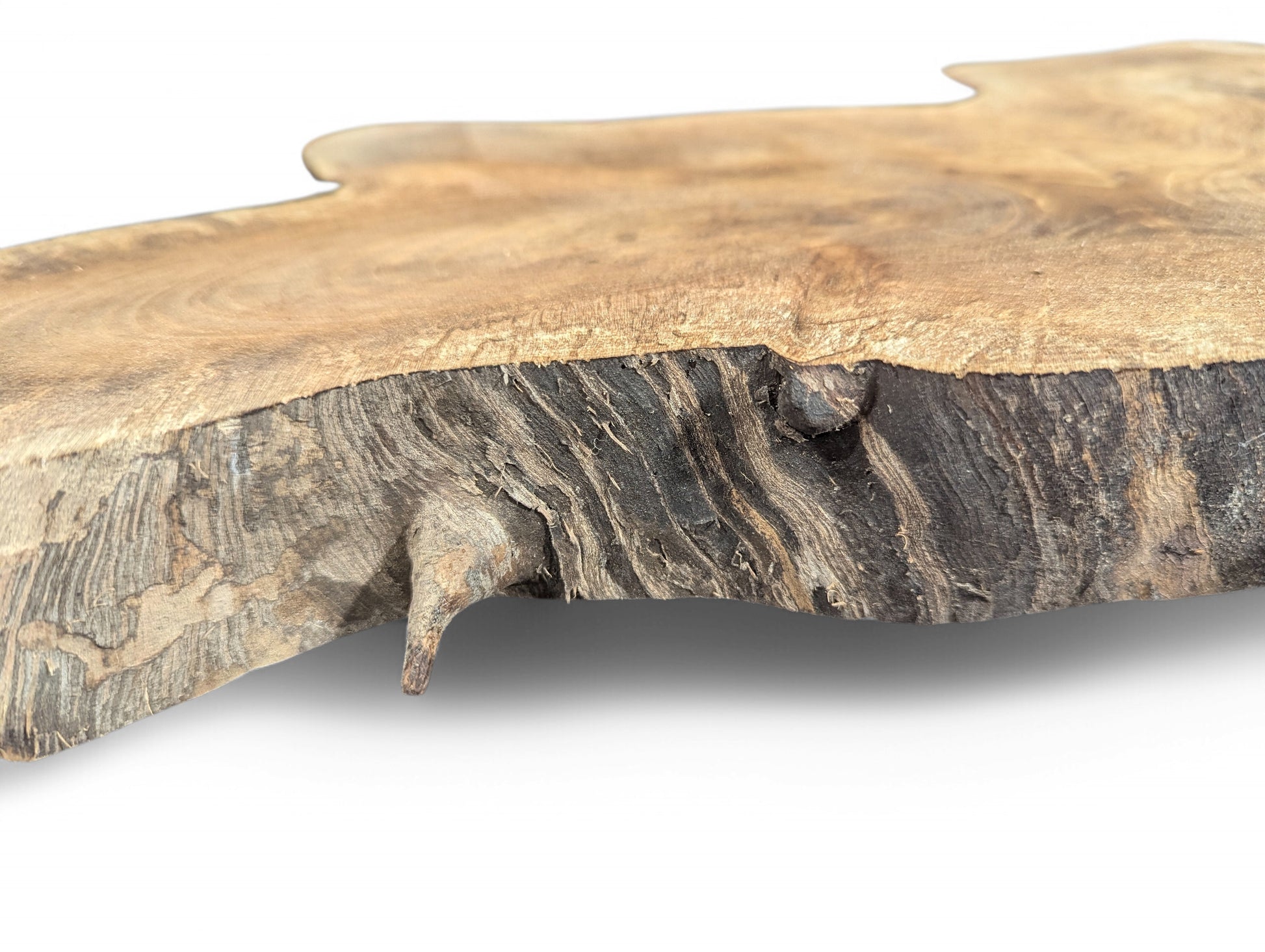 Light brown English walnut root wood top surface, dark textured live edge showing wavy grain.