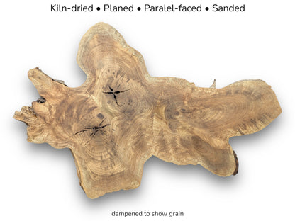 Image with text details showing an irregularly shaped walnut wood slice with dark grain and cracks.