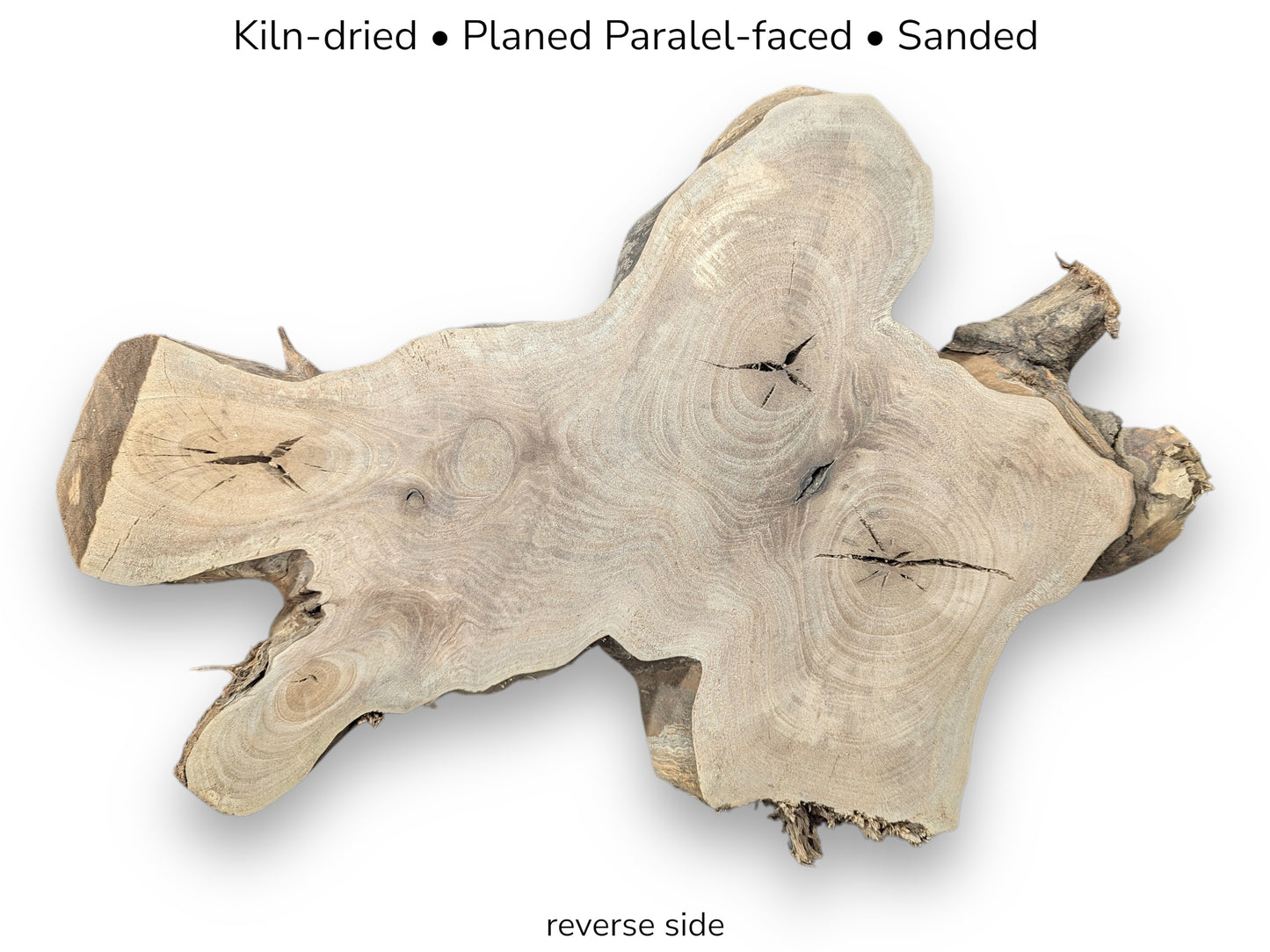 A graphic showing a kiln-dried, planed, parallel-faced, sanded walnut root wood slice, reverse side.