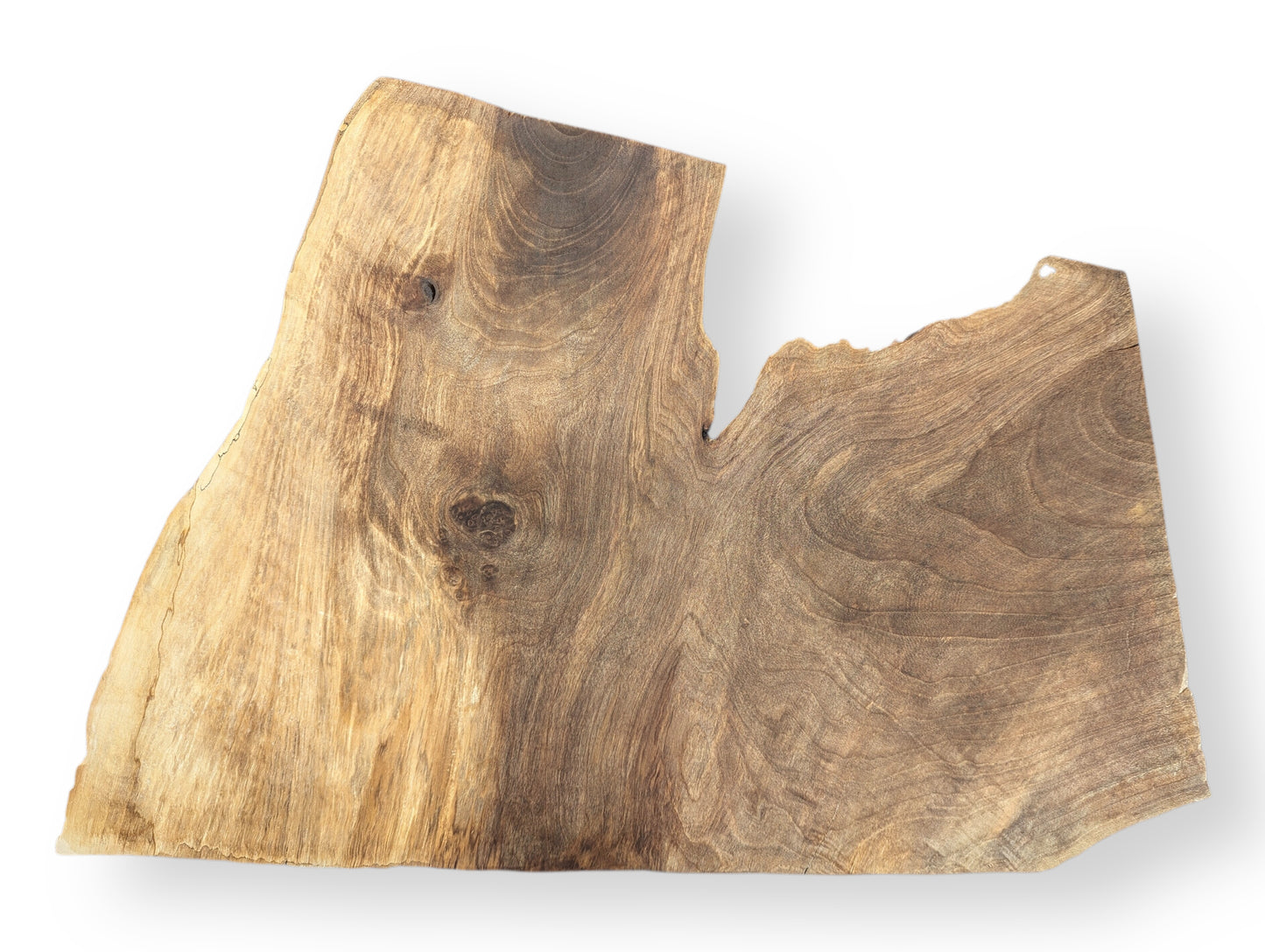 English walnut root wood slice, irregularly shaped, with varied brown tones and prominent swirling grain.