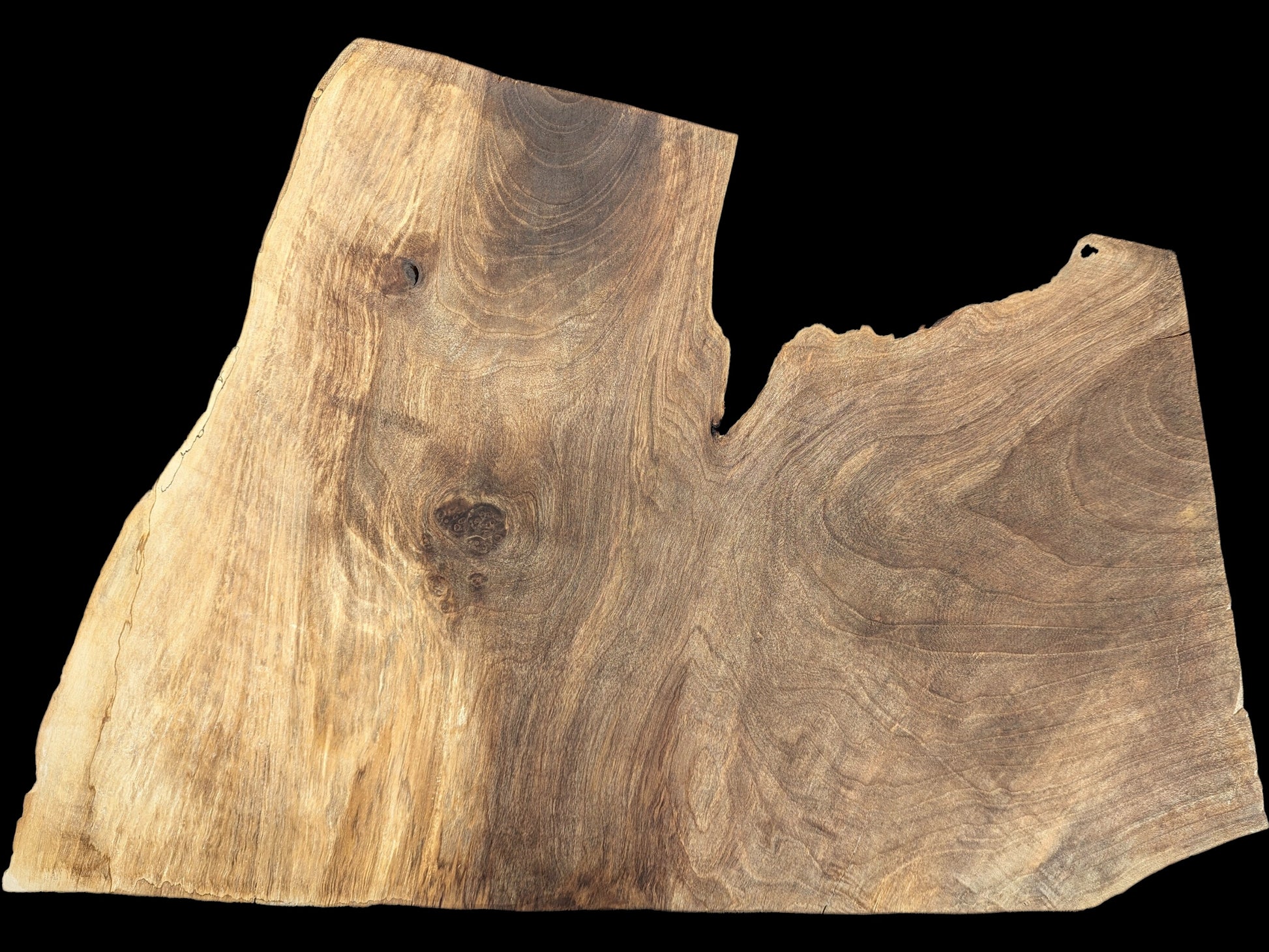 Irregularly shaped walnut wood slice with varied light and dark brown grain, showing knots and a live edge.