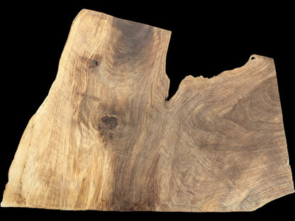 Irregularly shaped walnut wood slice with varied light and dark brown grain, showing knots and a live edge.