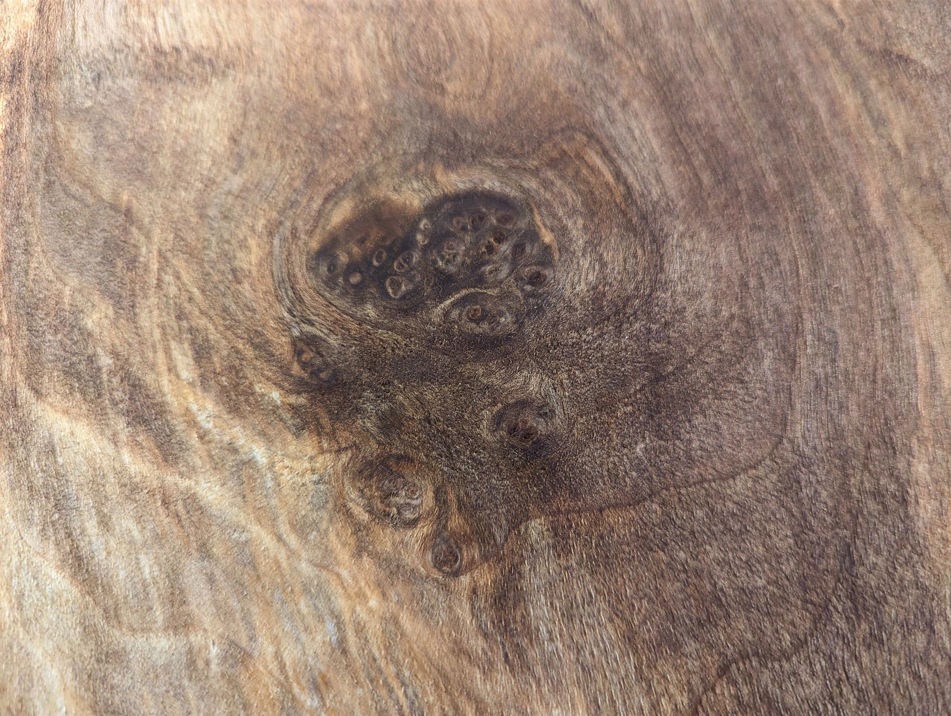 Varied brown wood grain close-up, highlighting a dark central knot with several smaller, darker eye-like features.