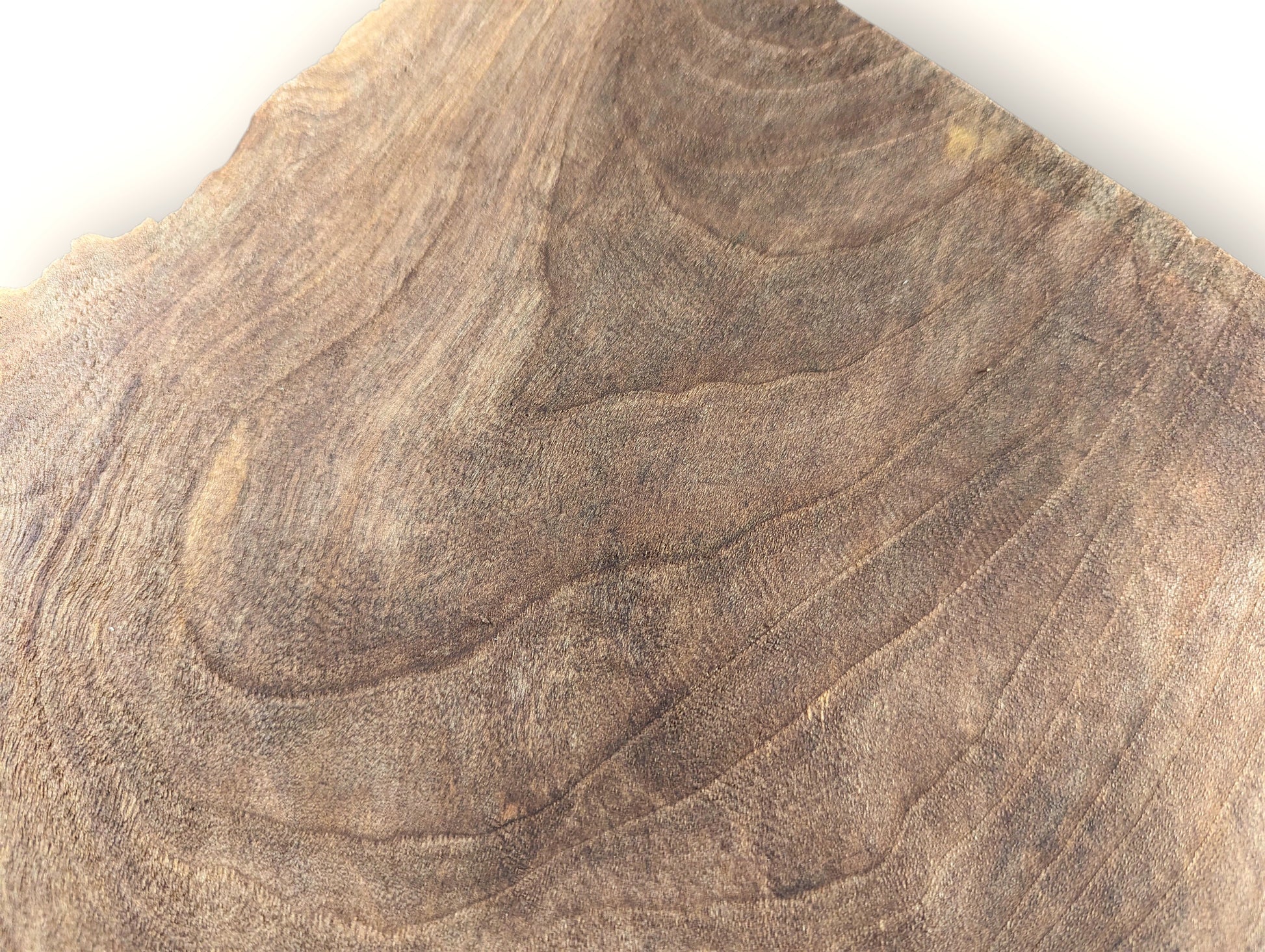 Brown wood slice with an irregular light edge, displaying prominent swirling grain patterns across its surface.