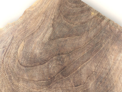 Brown wood slice with an irregular light edge, displaying prominent swirling grain patterns across its surface.