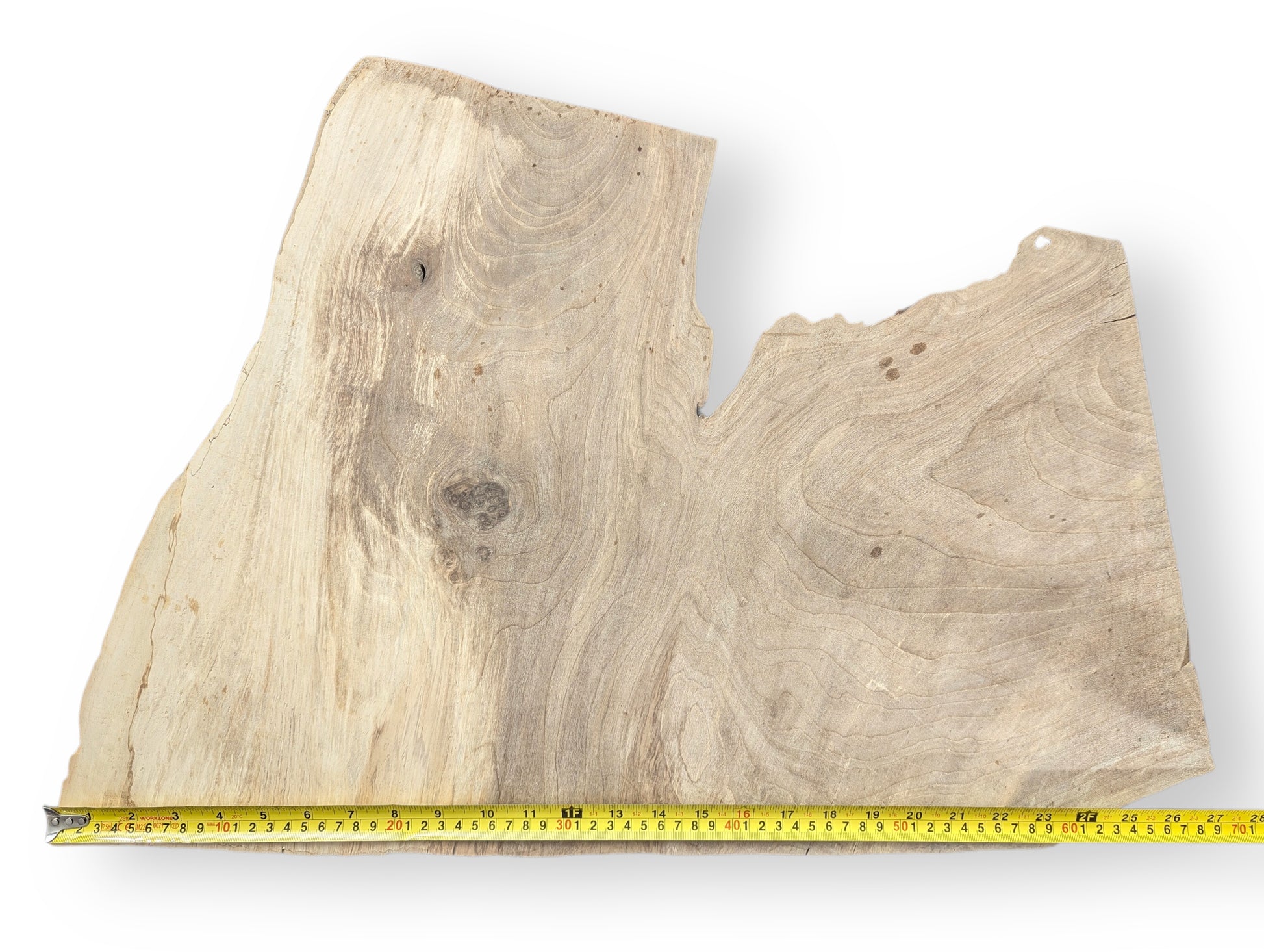 Light brown, irregular wood slice with prominent grain, a central knot, and a yellow measuring tape.
