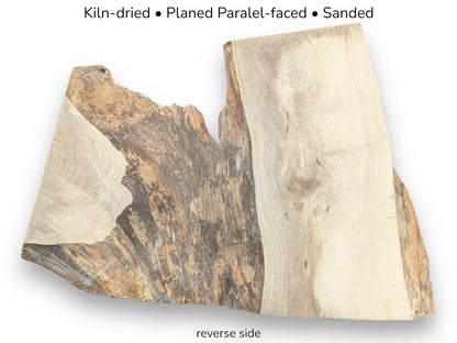 Reverse side of an irregularly shaped walnut wood slice. Text lists: Kiln-dried, Planed Parallel-faced, Sanded.