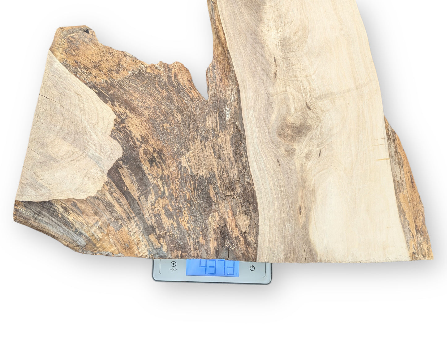 Wood slice displaying varied brown tones and a live edge, weighing 4373 on a digital scale.