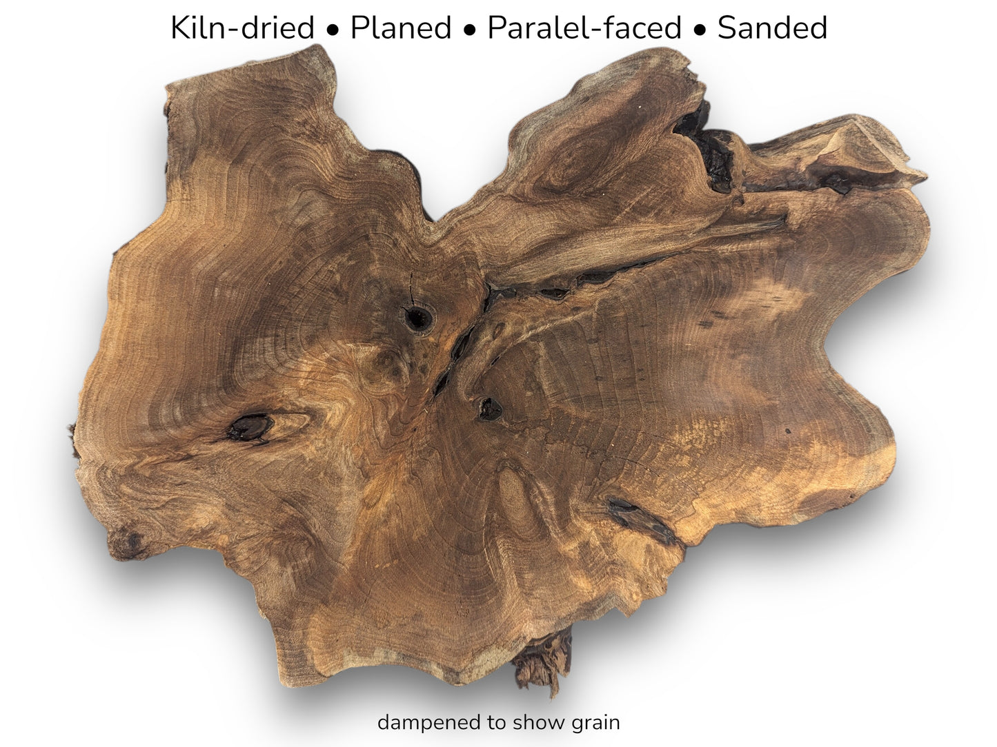 Irregular English walnut root wood slice displaying rich brown grain patterns and knots on white background.