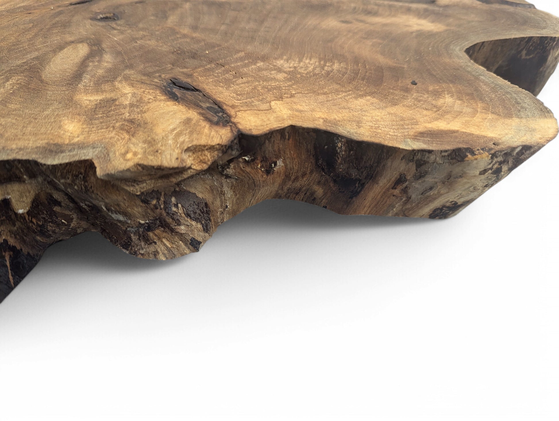 Close-up of an irregular English walnut root wood slice with varied brown tones, visible grain, and natural edge.