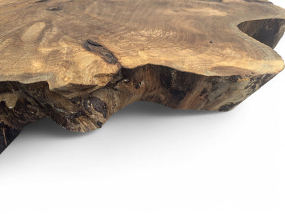 Close-up of an irregular English walnut root wood slice with varied brown tones, visible grain, and natural edge.