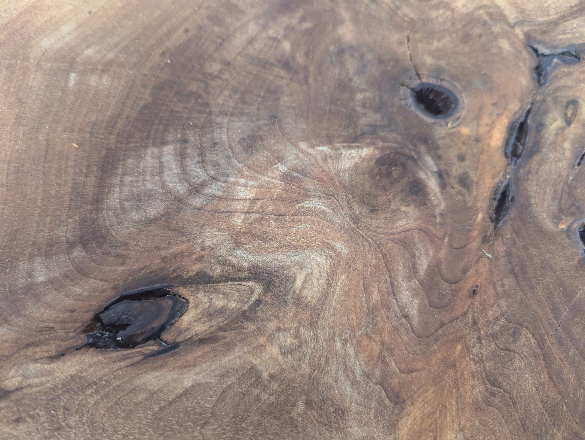 Intricate grain patterns and dark voids on an untreated, planed English walnut root wood slice.