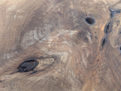 Intricate grain patterns and dark voids on an untreated, planed English walnut root wood slice.