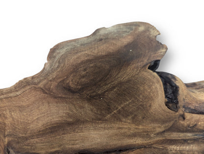 Dark brown irregular English walnut root wood slice displays intricate swirling grain and deep natural voids.