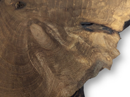 Close-up of a dark brown English walnut root wood slice showing intricate swirling grain patterns and dark voids.