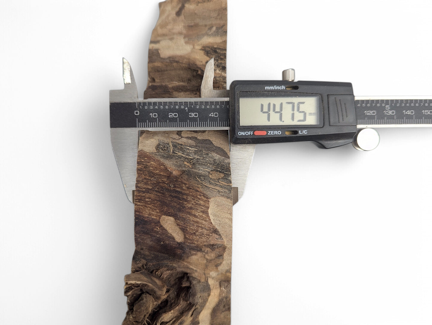 A digital caliper measures the thickness of a dark brown English walnut root wood slice at 44.75 mm.