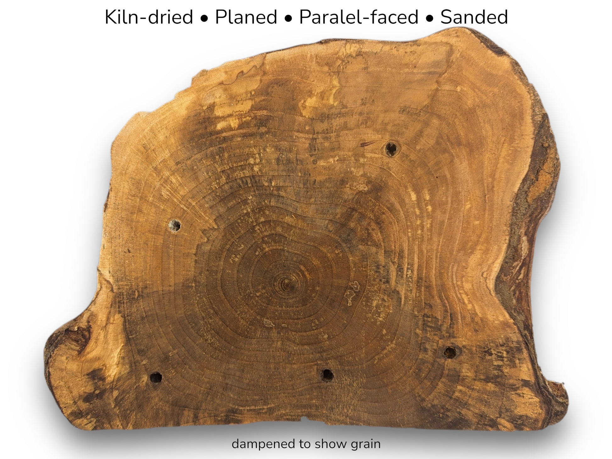 Irregularly shaped brown wood slice showing annual rings, four boreholes, and processing text overlay.