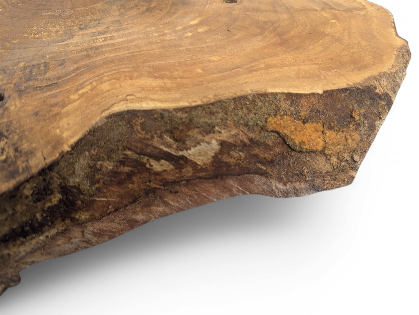 Rustic live edge wood slice, brown and tan, displaying distinct annual rings and natural texture.