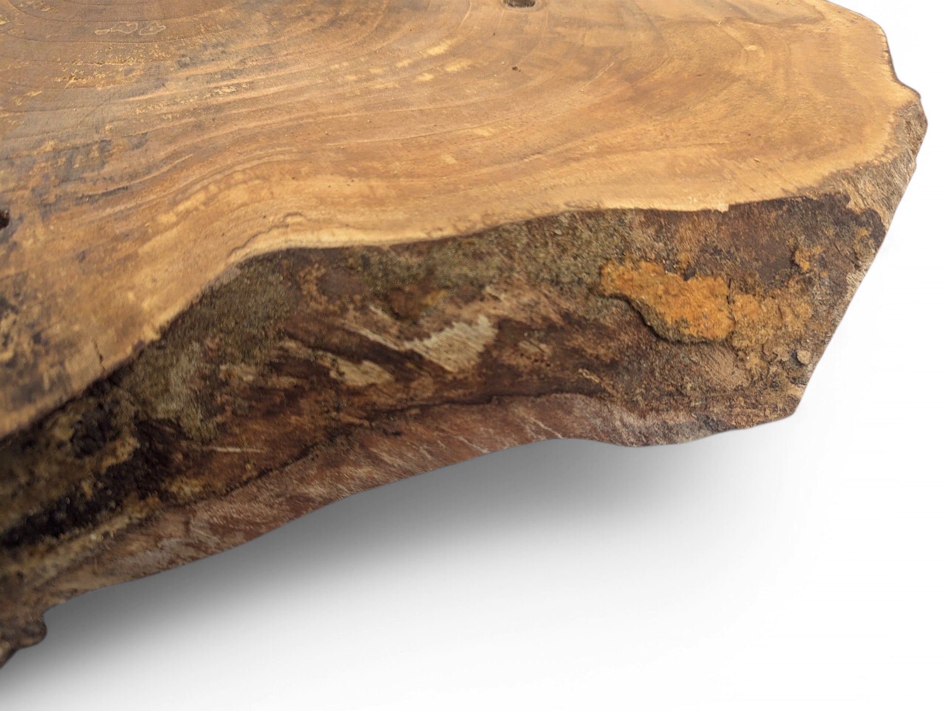 Rustic live edge wood slice, brown and tan, displaying distinct annual rings and natural texture.