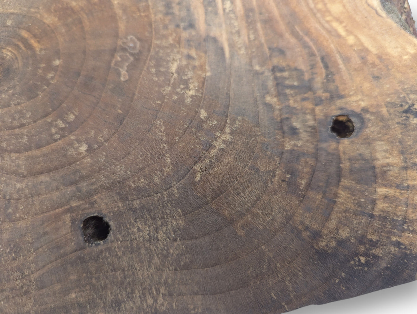 Dark brown wood slice close-up, showing concentric annual rings and two natural knot holes.