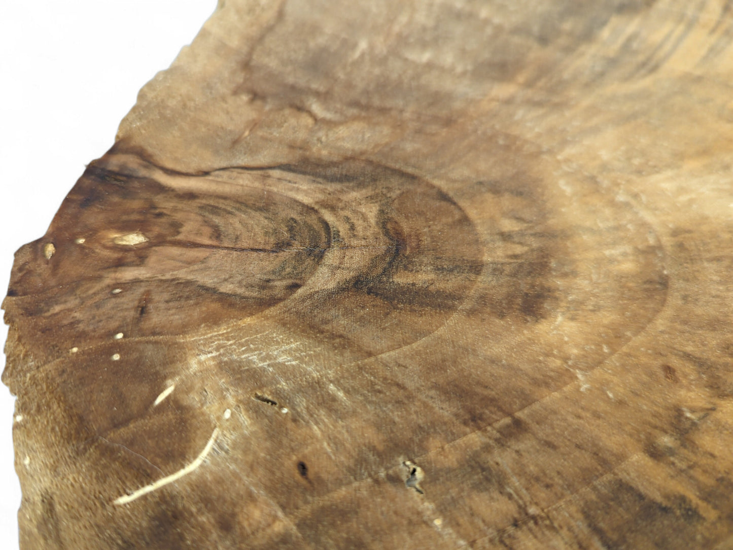 Walnut wood slice showing an irregular live edge and intricate light to dark brown grain patterns.