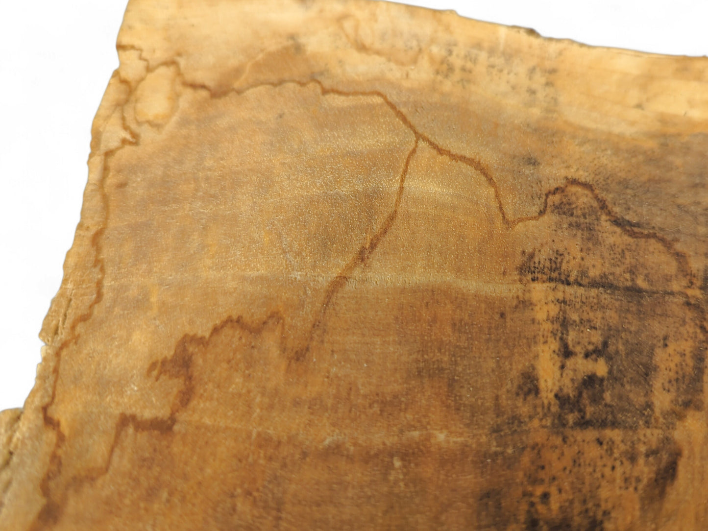 View of a light brown wood slice, revealing dark brown organic patterns, streaks, and textural variations.