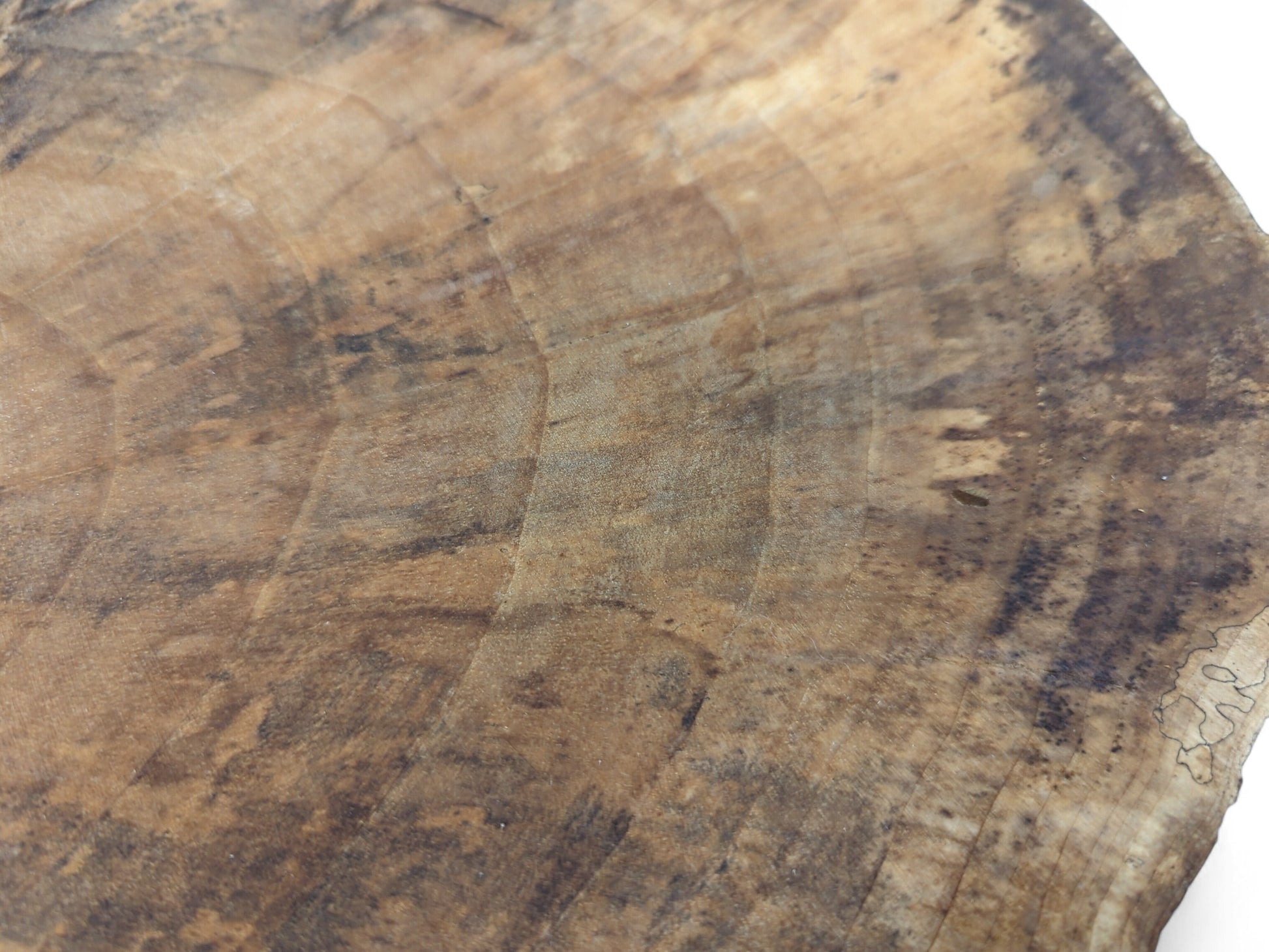 Textured brown wood surface showing varied light and dark tones, distinct growth rings, and organic patterns.